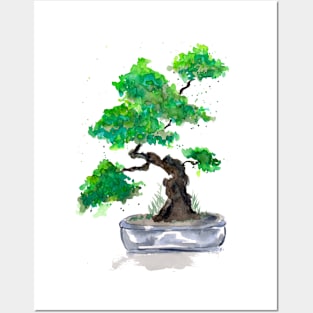 Green Bonsai Watercolor Posters and Art